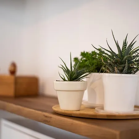 Tuguest S. Jeronimo Apartment Granada